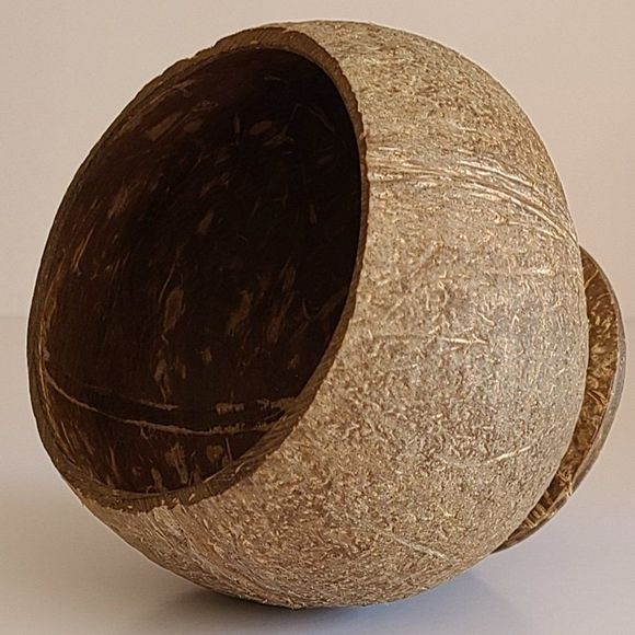 Coconut cup. coconut shell cup, wine cup, natural handmade - Picture 7 of 8